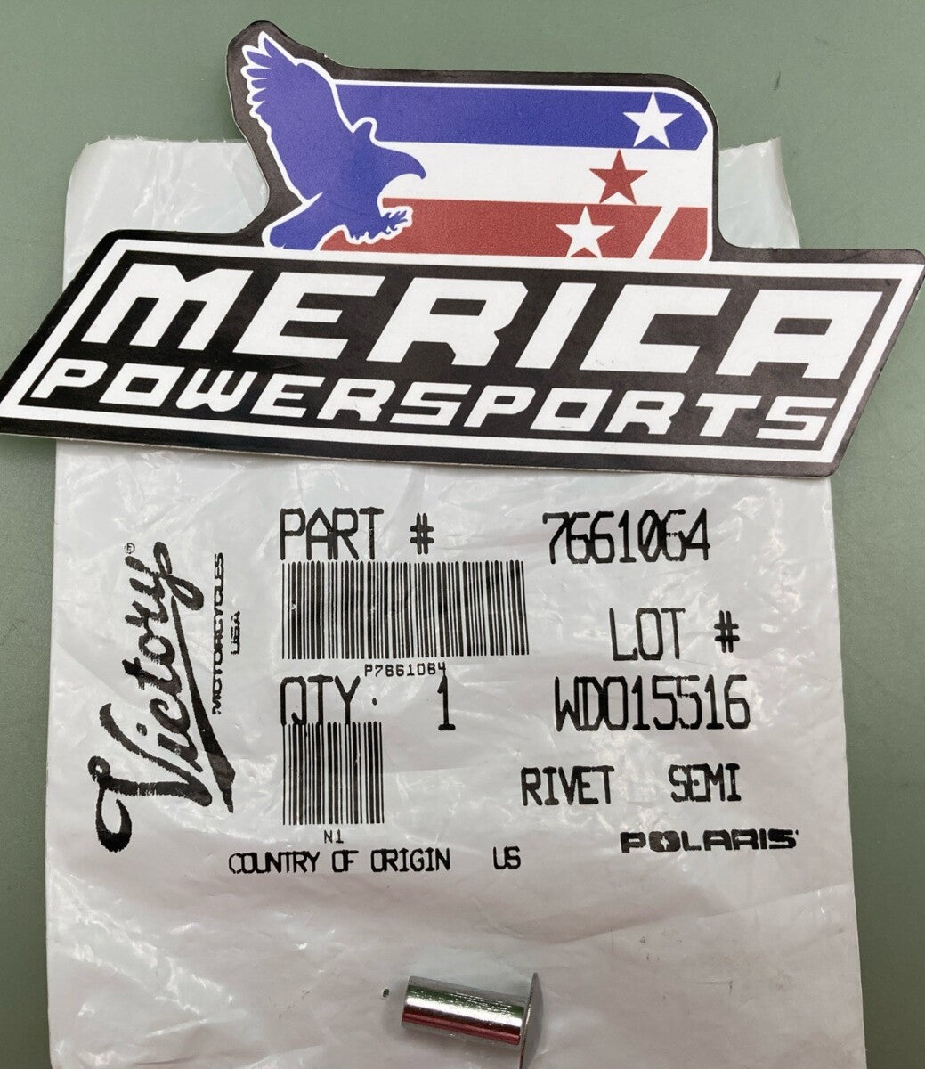 NEW PURE POLARIS RIVET TRUSS HD SS / 7661064 / QTY: 10