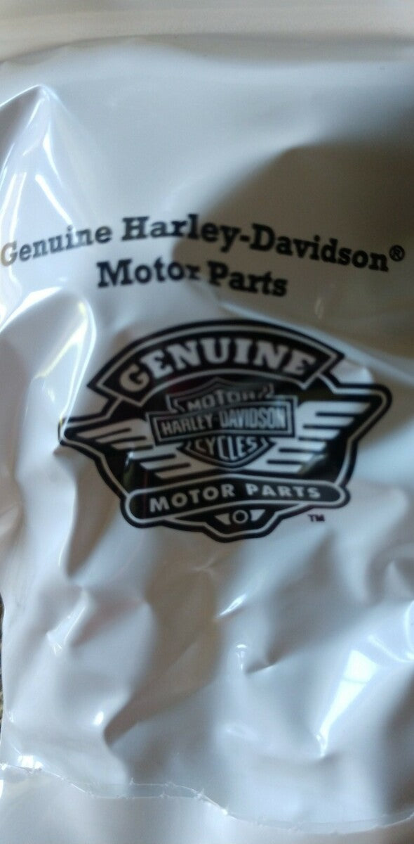 Lot of 2 NEW Harley Davidson Tail Lamp Bulb 94314