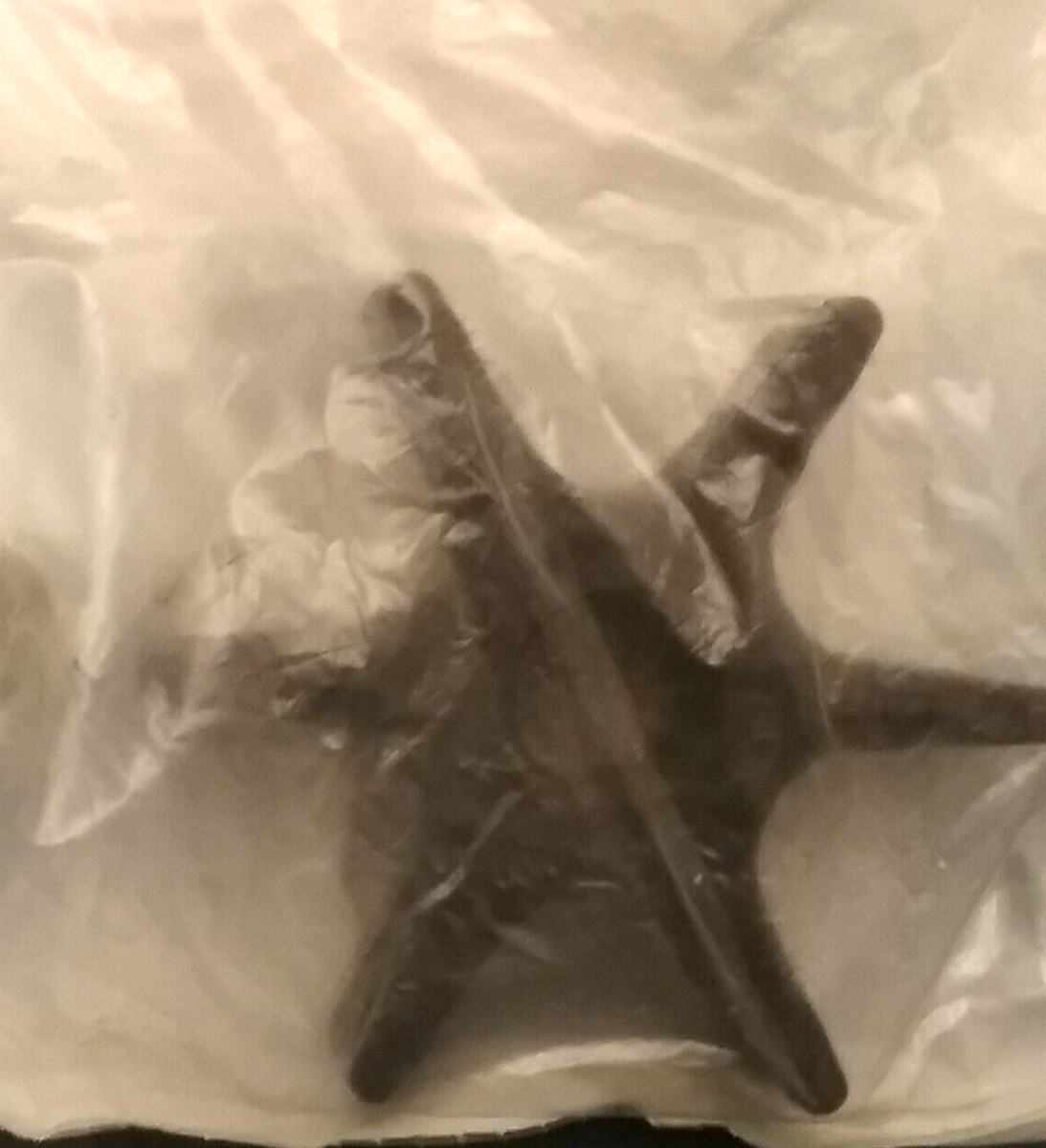 NEW SIERRA 18-3044 IMPELLER Johnson Evinrude Brp Suzuki