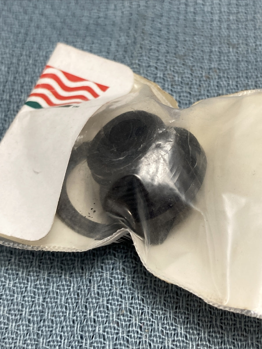 NEW RIVERSIDE PUMPS A43896 PLUG WITH GASKET