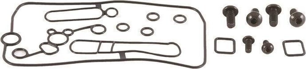 NEW GENUINE ALL BALLS RACING 226-10124 MID BODY CARBURETOR KIT