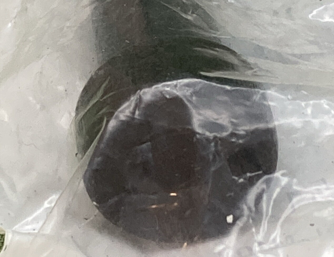 NEW GENUINE POLARIS 7519075 Rear Rack and Brushguard Screw