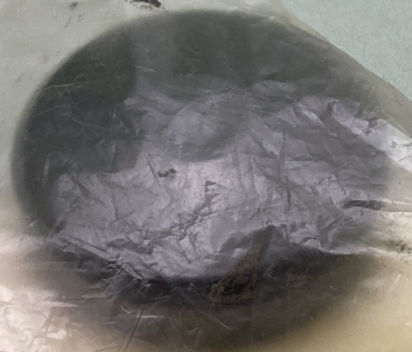 NEW GENUINE HONDA 91209-463-013 SEAL CAP CYLINDER