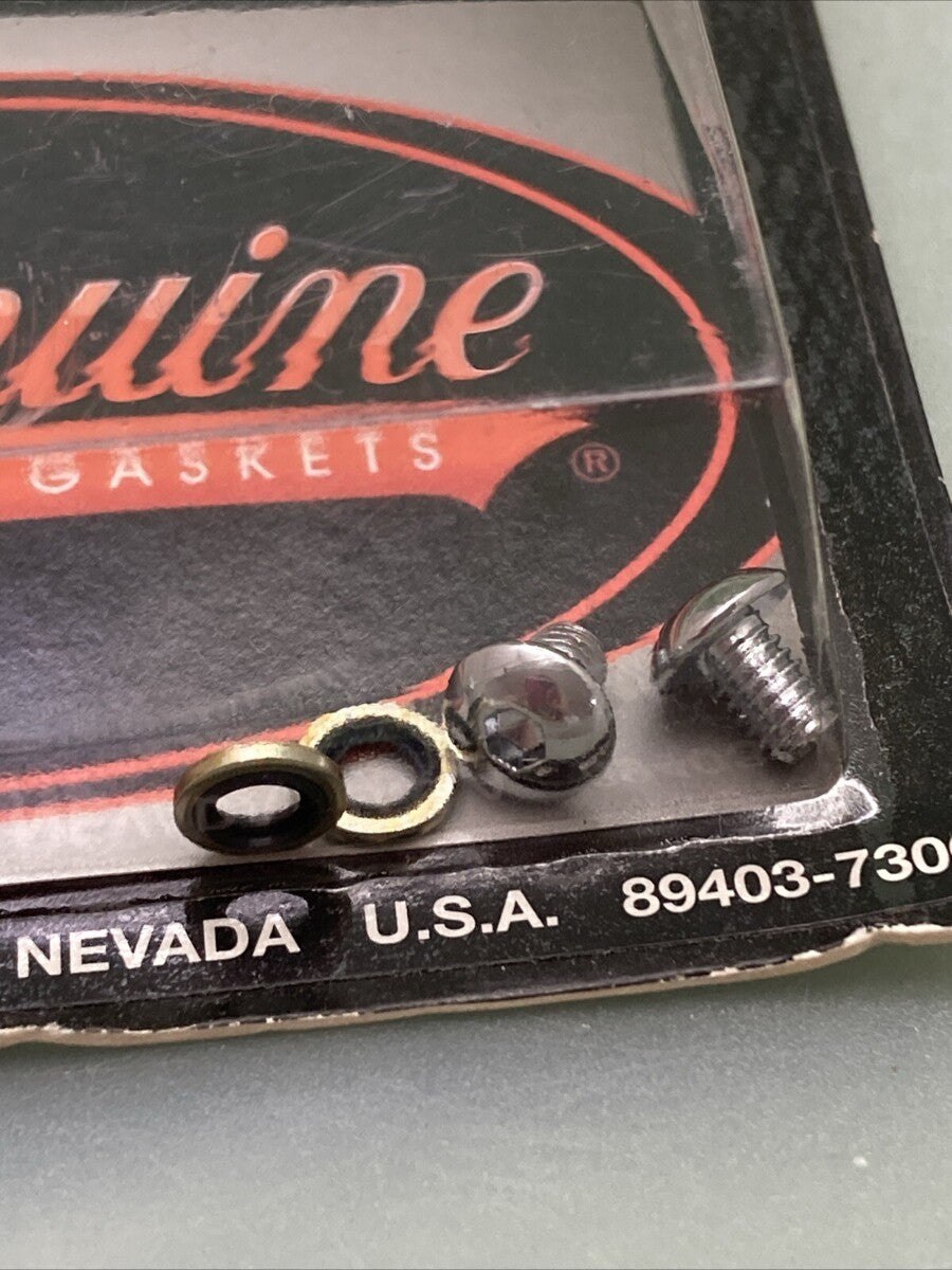 NEW GENUINE JAMES GASKET JGI-45790-80-BH FORK DRAIN SCREW KIT