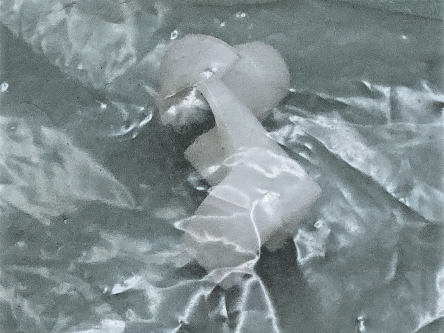 NEW REPLACES MOPAR 68050513AA Clip-Retaining