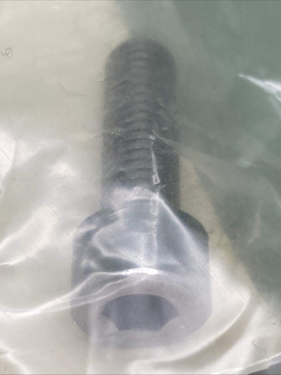 NEW GENUINE TRIUMPH T2041744 Pinch Bolt, M6