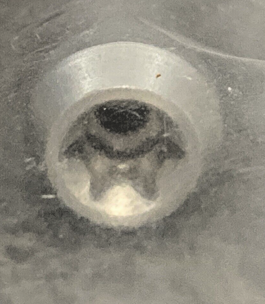 NEW GENUINE BMW 36 23 8 521 833 PIN 36238521833