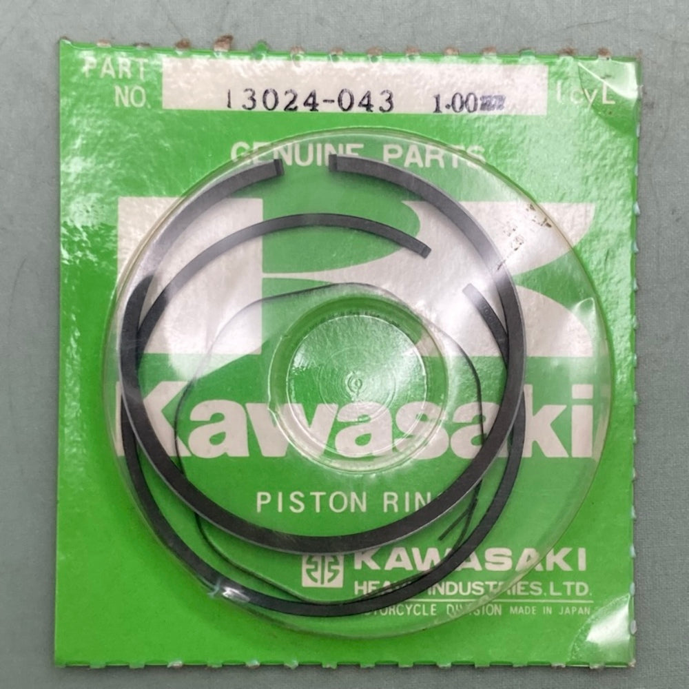 Kawasaki 13024-043 Ring Set New Genuine