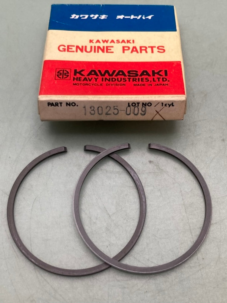 Kawasaki 13025-009 Ring Set New Genuine