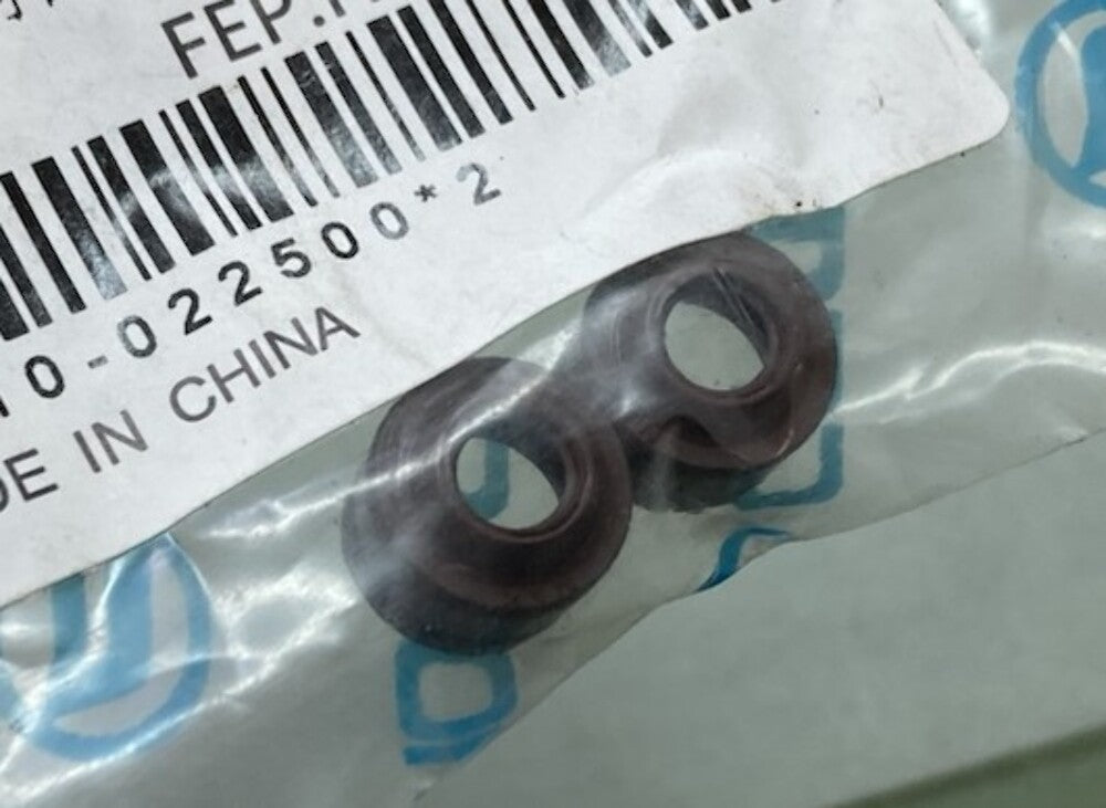 CFMoto 0010-022500 Seal Ring Valve Stem Set New Genuine