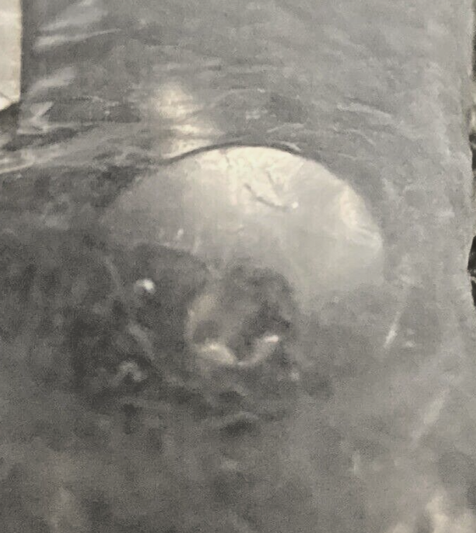 43735148