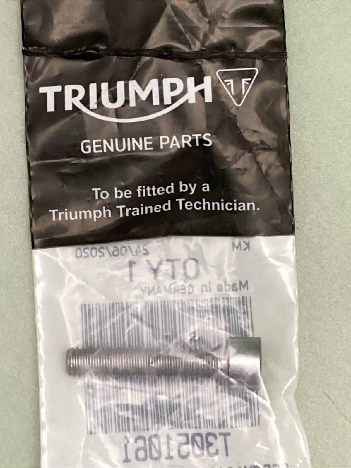 NEW GENUINE TRIUMPH T3051061 Screw, Cap/hd, M6 X 30, Slv