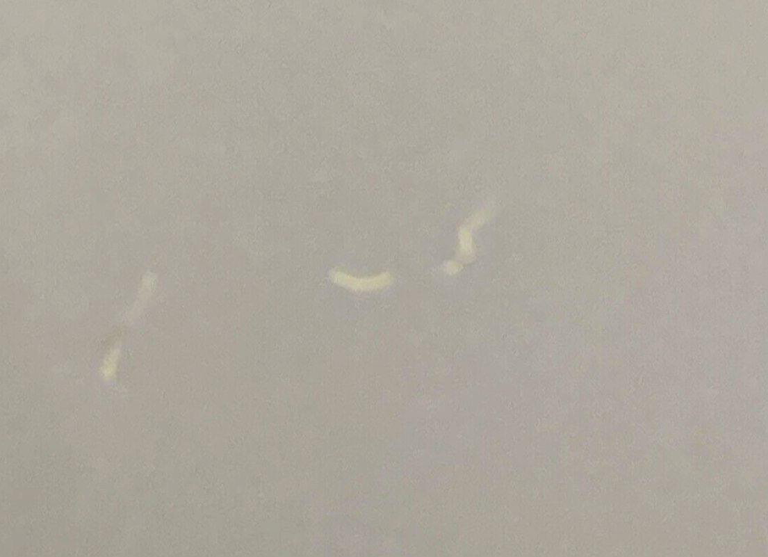 NEW GENUINE HARLEY DAVIDSON 2011181 JACKET BABE METAL SIGN