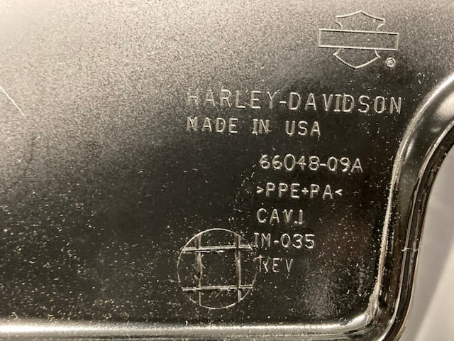 Harley-Davidson 66048-09A RH Side Cover Silver Pinstripe New Genuine