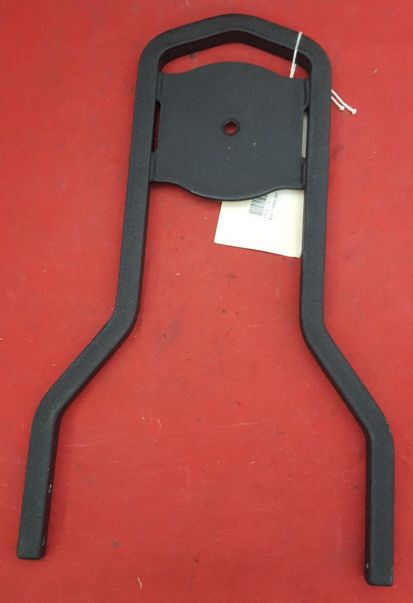 NEW Genuine Harley Davidson Upright Low Sissy Bar Kit 53281-06