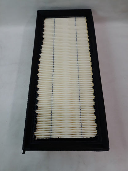 NEW SERVICE CHAMP Air Filter AF5703/ WAF4030/ CA10349