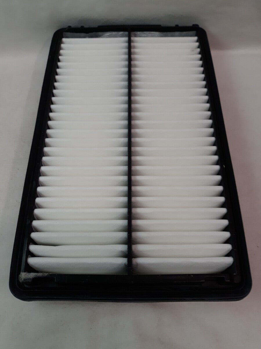NEW SERVICE CHAMP Air Filter AF5248/ WAF7919/ CA8133