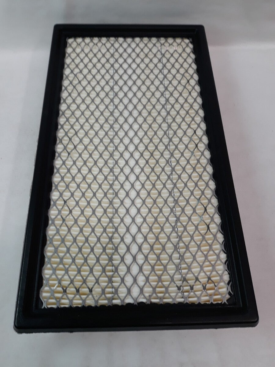 NEW SERVICE CHAMP Air Filter AF5699/ WAF2884/ CA10242
