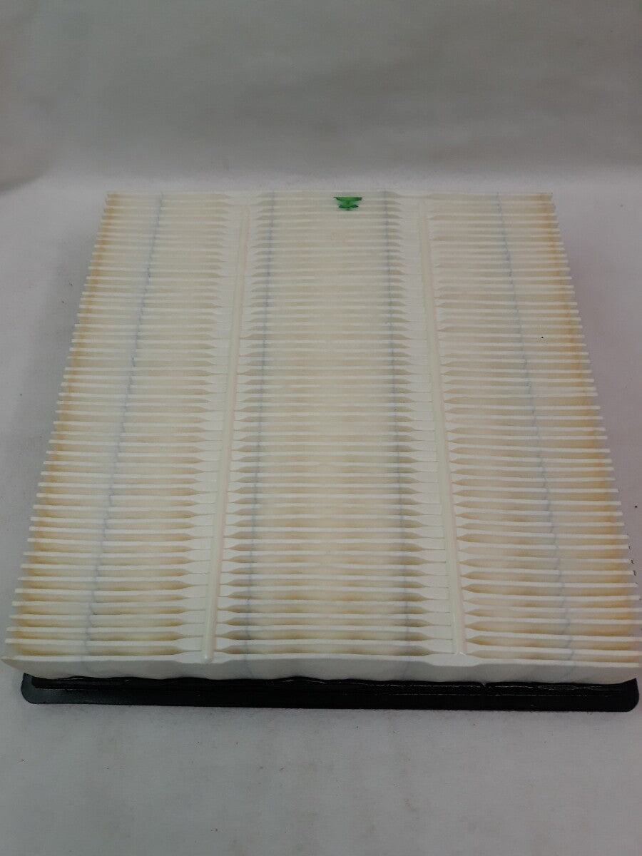 NEW SERVICE CHAMP Air Filter AF5553/ WAF3956/ CA9762