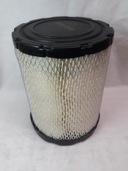 NEW SERVICE CHAMP Air Filter AF5433/ WAF2014/ CA9345