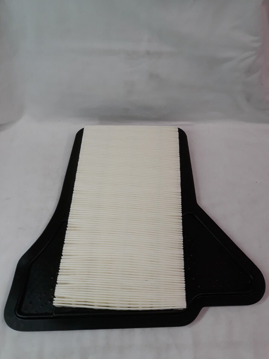 NEW SERVICE CHAMP Air Filter AF5521/ WAF5191/ CA9662