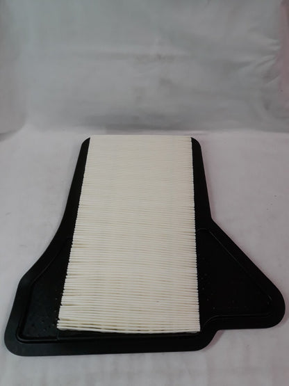 NEW SERVICE CHAMP Air Filter AF5521/ WAF5191/ CA9662