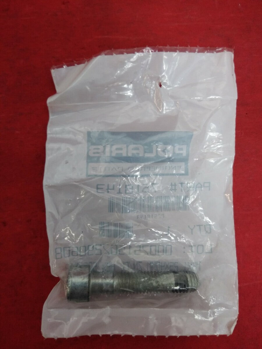 NEW POLARIS 7518143 - SCR-HXSOC,M8X40,ZPC