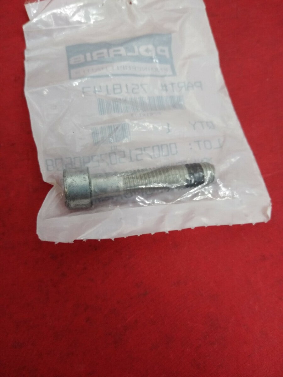NEW POLARIS 7518143 - SCR-HXSOC,M8X40,ZPC