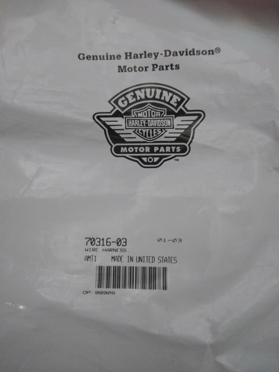 New Harley Davidson License Plate Wire Harness / 70316-03 / FXSTD