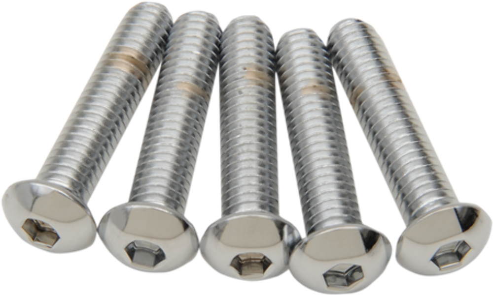 NEW DRAG SPECIALTIES 5/16X18X1-1/4 BUTTON HEAD / DS192324 / QTY 4