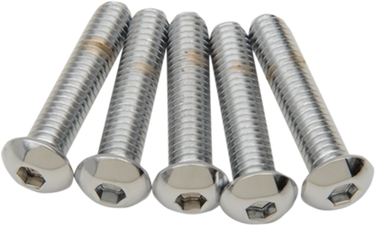 NEW DRAG SPECIALTIES 5/16X18X1-1/4 BUTTON HEAD / DS192324 / QTY 4