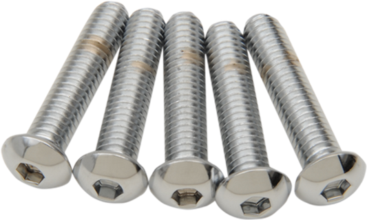 NEW DRAG SPECIALTIES 5/16X18X1-1/4 BUTTON HEAD / DS192324 / QTY 4
