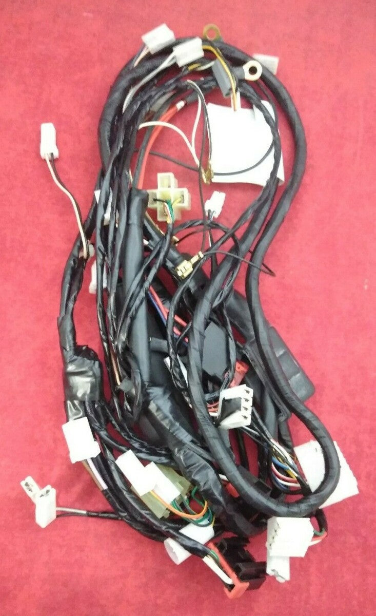 NEW Vespa / Piaggio Beverly Complete Main Wiring Harness / 638631