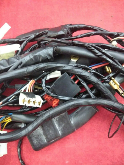 NEW Vespa / Piaggio Beverly Complete Main Wiring Harness / 638631