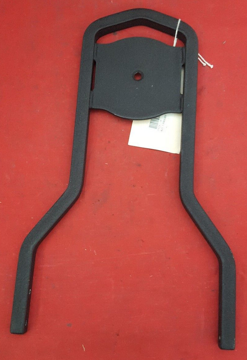 NEW Genuine Harley Davidson Upright Low Sissy Bar Kit 53281-06