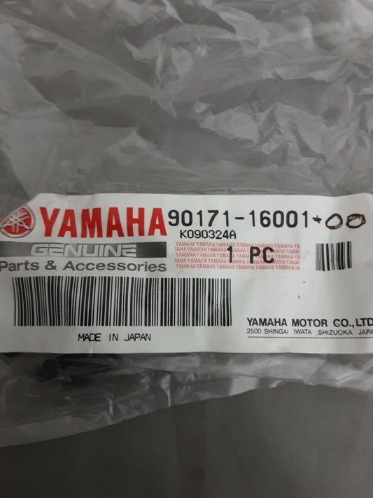 NEW GENUINE YAMAHA 90171-16001 NUT, CASTLE Big Bear YFM350 TERRA PRO YFP350
