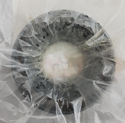 NEW GENUINE SUZUKI 27406-38FA0 OIL SEAL Eiger LT-F400 Vinson LT-A500 2002-2004