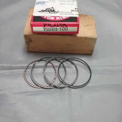 NEW TEIKOKU PR354/Y55X610-100 PISTON RING SET 1.00