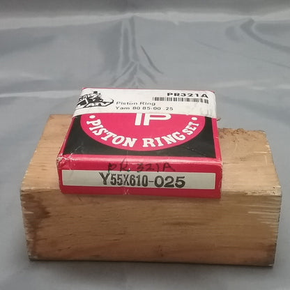 NEW TEIKUKO PR321A/Y55X610-025 PISTON RING SET .25