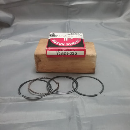 NEW TEIKUKO PR321A/Y55X610-025 PISTON RING SET .25