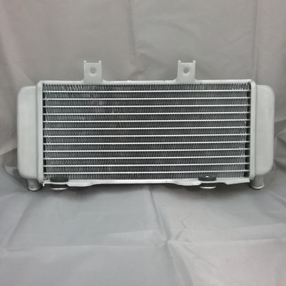 NEW GENUINE SSR A00024-06-00 LEFT RADIATOR SR450S
