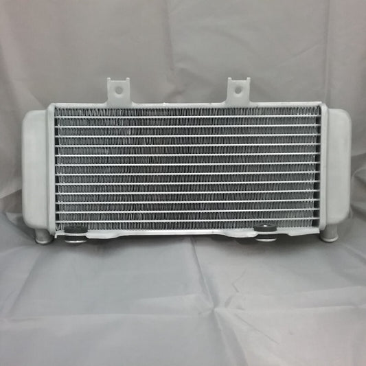 NEW GENUINE SSR A00024-06-00 LEFT RADIATOR SR450S