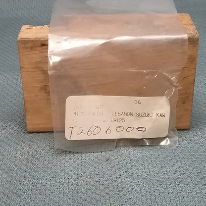 NEW GASGAS T2606000 CAGE NUT, 6MM