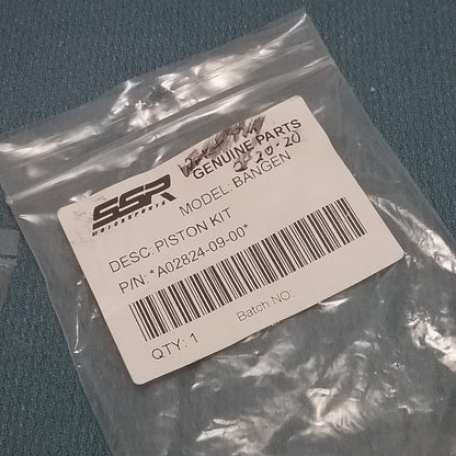 NEW SSR A02824-09-00 PISTON KIT