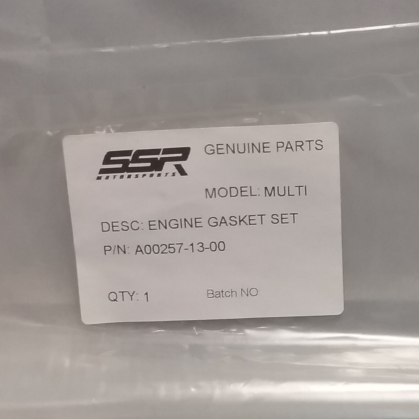 NEW SSR A00257-13-00 ENGINE GASKET SET