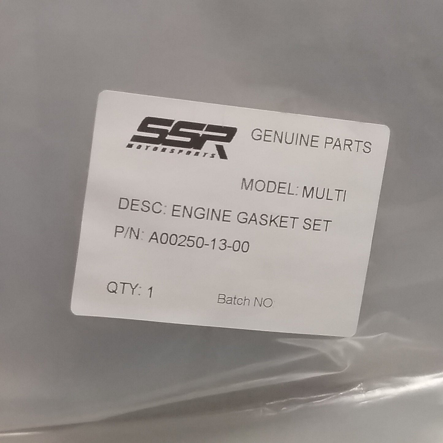 NEW SSR A00250-13-00 ENGINE GASKET SET