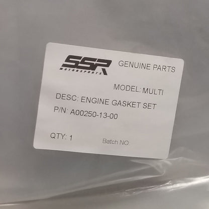 NEW SSR A00250-13-00 ENGINE GASKET SET