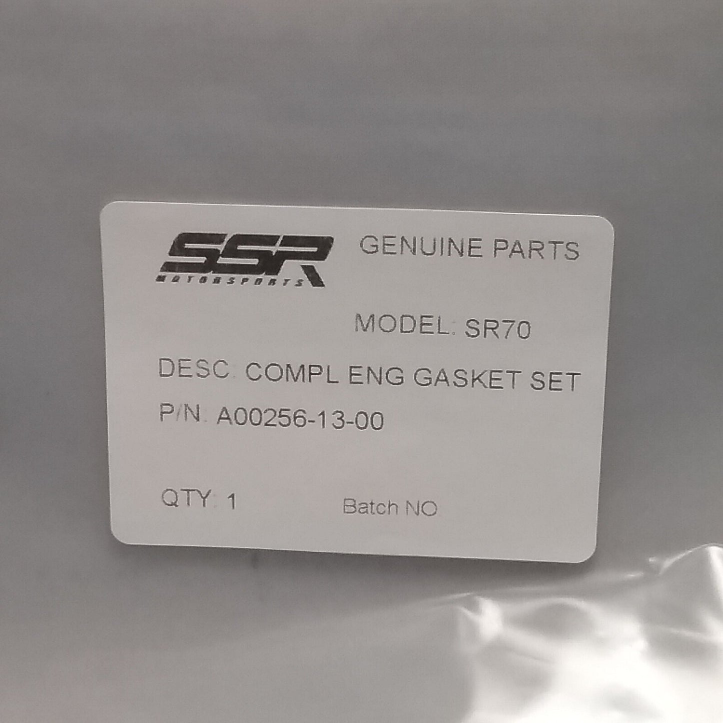 NEW SSR A00256-13-00 ENGINE GASKET SET