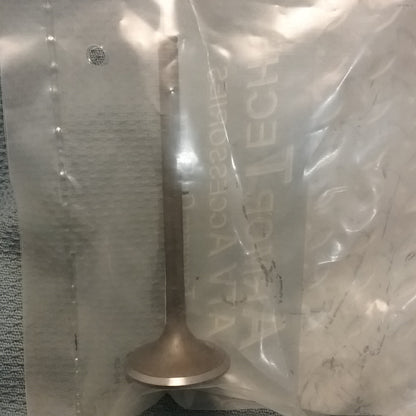 NEW ARMORTECH AT-090081 INTAKE VALVE HONDA 14711-HA7-670 TRX350 86-89