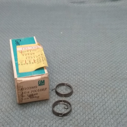 QTY 2 NEW GENUINE GM 7001087 LOCK SPRING REAR COMPARTMENT/TAILGATE LOCK CYLINDER